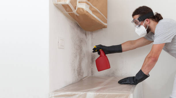 Professional Mold Remediation technician working in Elmont, NY